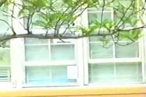 MONSTER dick For White teen