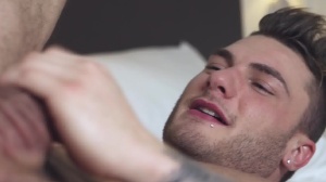 Top To Bottom : William Seed - William Seed hardcore Hook up