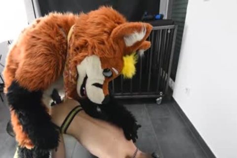 Puppy gets banged By Fursuit With  fake penis