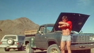 Falcon Studios: Windswept Desires