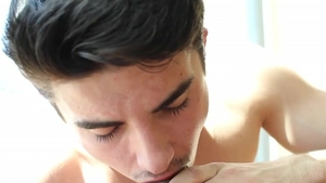 High, Blackish & Avid